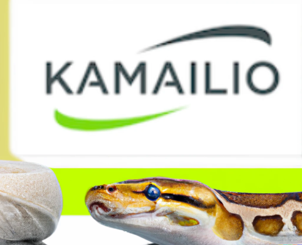 Build a SIP Registrar using Python with KEMI framework for Kamailio